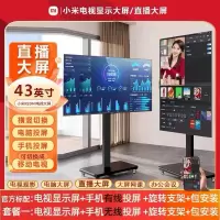 小米REDMI可移动电视机直播大屏投屏 43英寸L43RA-RAE黑色官方标配