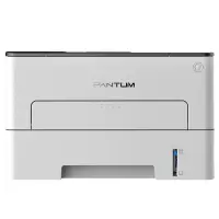 奔图(PANTUM)P3019D黑白激光打印机(自动双面)