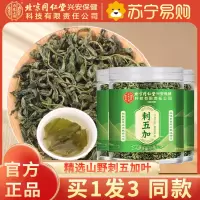 [买1发3同款]北京同仁堂内廷上用刺五加50g嫩叶头茬新鲜嫩叶茶干果刺五加茶官方店正品