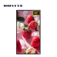 飞显 FX-LHDGB55AW 55英寸 高清+壁挂支架 广告机 (计价单位:台) 黑色