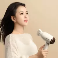 山水 电吹风S-CF3006(SC)