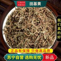 甄选田基黄100克干货正品新货干地耳草黄花草雀舌草正品整株田基王干品