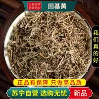 甄选田基黄100克干货正品新货干地耳草黄花草雀舌草正品整株田基王干品