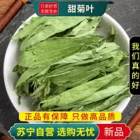 甄选正宗甜菊叶100克花茶泡水甜香菊热清无硫甜叶菊正品泡水泡茶