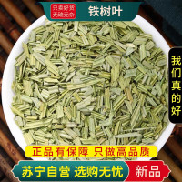 甄选铁树叶100克新货煮水泡茶尾蕉叶正品干货无硫另售黄芪白术丹参
