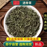 甄选透骨草100克干货煮水泡茶透骨草珍珠透骨草正品新货另售威灵仙