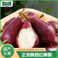 [苏鲜生]陕西红啤梨 净重9斤 小果 当季水果梨子新鲜红皮彩虹香软糯梨太婆啤酒梨整箱