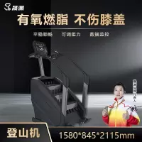 晟渊 爬楼机健身综合训练器电动楼梯机登山机 YTD035