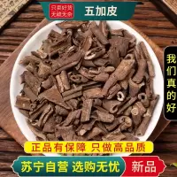 甄选五加皮100克干货煮水泡茶南五加皮刺五加正品新货杜仲红参远志
