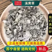 甄选溪黄草100克正品干货新货煮水泡茶溪黄草溪沟草熊胆草血风草黄汁草