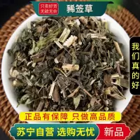 甄选豨签草100克正品新货煮水泡茶稀见草豨签草豨见草西茜草正宗干货