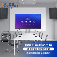 润普会议室音频扩声解决方案(会议麦克风+音响+调音台+音频处理器+数字移频器+时序电源)RP-YPKS180