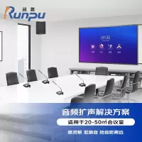 润普音频扩声会议成集解决方案(会议麦克风+音响+调音台+音频处理器+数字移频器+时序电源)RP-YPKS280