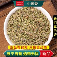 甄选小茴香100克干货正品新货回香香料小荤香炖羊肉小茴香另售孜然八角