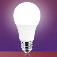 节能led灯泡 E27 12W 一个装