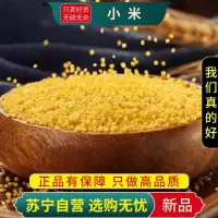 米香油厚黄小米100克新米农家食用粘糯米粗粮杂粮黄金小米粥新货
