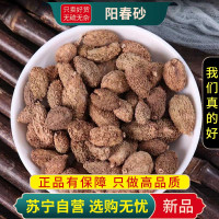 甄选砂仁正宗阳春砂仁100克官方店砂仁正品调味香料特产煮水泡茶