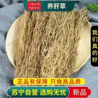 甄选新货养肝草100克养肝草龙须草护肝草丝线根煲煮汤料农家自晒煮水