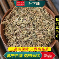 甄选叶下珠100克干货正品煮水泡茶叶下珠茶珍珠草龙珠草鱼鳞草夜合草