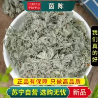 甄选茵陈100克绵茵陈蒿茶干货正品菌陈新货三月棉煮水另售蒲公英大枣