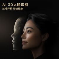 TCL智能门锁X9S SE