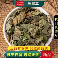 甄选鱼腥草100克狗蝇草狗贴耳臭菜折耳根干岑草蕺菹菜紫背鱼腥草