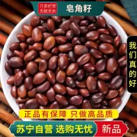 甄选皂角籽100克干货正品新货煮水皂角子皂荚籽皂籽新货皂角子皂角核