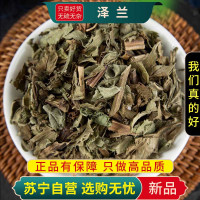 甄选泽兰100克干货新货煮水泡茶地笋草新货泽兰叶正品地瓜苗另售白术