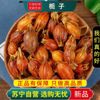 甄选栀子100克干货正品新货黄果子黄栀山栀子水栀子无硫煮水泡茶