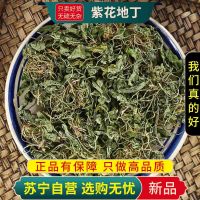 甄选紫花地丁100克干货正品新货煮水地丁草箭头草犁头草铧头草地丁无硫