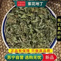 甄选紫花地丁100克干货正品新货煮水地丁草箭头草犁头草铧头草地丁无硫