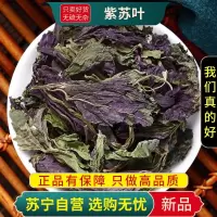 甄选紫苏叶100克正品煮水泡茶苏叶紫苏子苏新货无硫干货另售甘草山楂