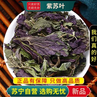 甄选紫苏叶100克正品煮水泡茶苏叶紫苏子苏新货无硫干货另售甘草山楂