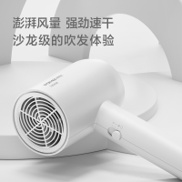 博锐电吹风PH1621