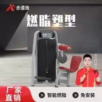 赤道线 后背伸展训练器综合训练器CDX-A523S-BFT2017