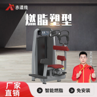 赤道线 坐式转体训练器综合训练器BFT2013 CDX-A523S-BFT2013