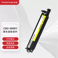 奔图(PANTUM)CDO-300DY原装黄色显影组件 适用CP2506DN plus/CM7105DN打印机