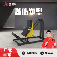 赤道线 立式小腿训练器健身综合训练器 不含哑铃片CDX-A523S-BFT1009