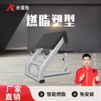 赤道线 二头肌椅综合训练器CDX-A523S-BFT6015