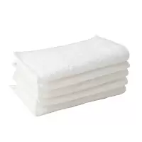 好媳妇竹纤维抹布(5片装)AGW-7706A-80