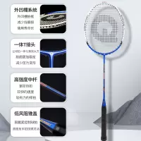 强力(QIANGLI) 羽毛球拍全碳素纤维超轻稳定耐用攻守兼备 101铝合金双拍