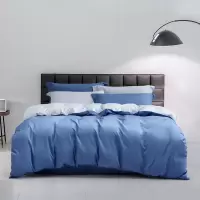 水星家纺冬暖夏凉四件套超级柔软亲肤抗菌防螨高支棉床品套装