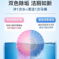 domol沫檬 双效洁厕块1盒