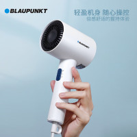 蓝宝(BLAUPUNKT) BP-HC005B 电吹风家用护发大功率吹风机大风速速干电吹风