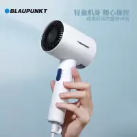 蓝宝(BLAUPUNKT) BP-HC005B 电吹风家用护发大功率吹风机大风速速干电吹风