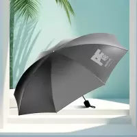 大嘴猴(Paul Frank)八骨三折雨伞PFU202