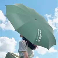 大嘴猴(Paul Frank) 十骨三折雨伞PFU204