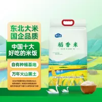 响水稻香米长粒香米5kg真空非真空随机发货新老包装随机发货