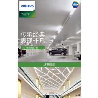 飞利浦T8日光灯管荧光灯管TLD/54-765 0.6米18W 白光6500K 5根起发