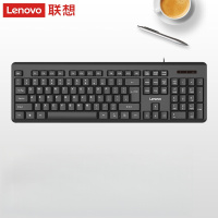 联想(Lenovo) 键盘 有线键盘 K4800S 电脑办公键盘 笔记本键盘黑色 USB